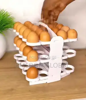 Foldable 60 Holes Storage Egg Rack