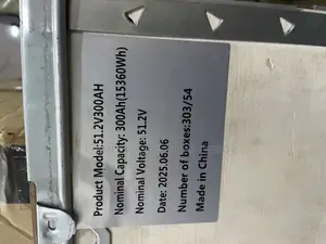 SMS 15kwh Lithium Battery 51.2v