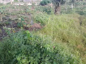 Plots Of Land For Sale