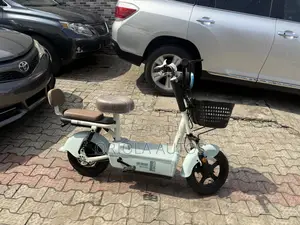 Electric Bike