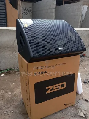 Zed Professional 15inches Active Floor Monitor