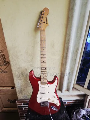 Stewart Custom Edition Proffesional Stratocaster Guitar