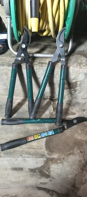 Shears Gardens Looper