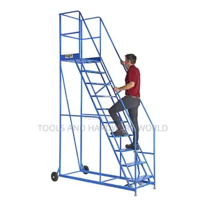 Platform Trolley Ladder