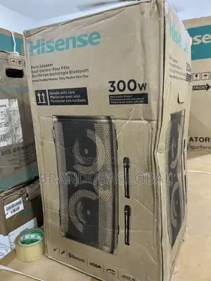 Hisense 300w Party Rocker Aud110hp With High Durability Build