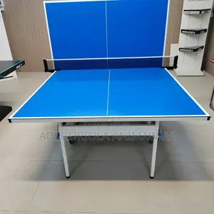 Durable Outdoor / Indoor Table Tennis Board With Wheels – Imported