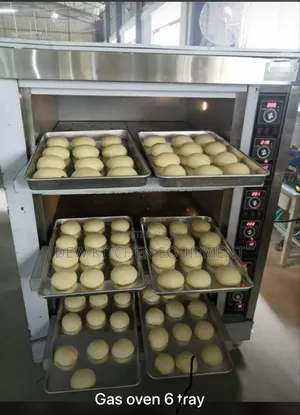 6trays Gas Oven