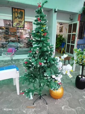 Christmas Tree for Festive Season