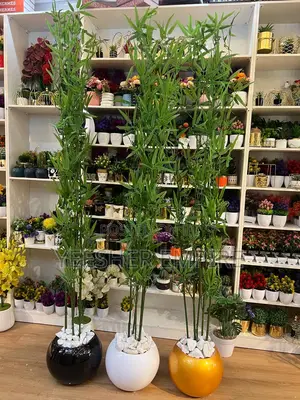 Ball Vase With Bamboo Plant