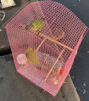 Parrot Cages