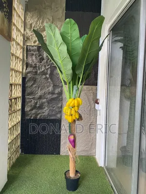 Modern Stunning Flowers