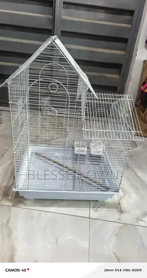 Foriegn Beautiful Cages for Birds