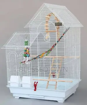 Imported Birds Cages Are Available