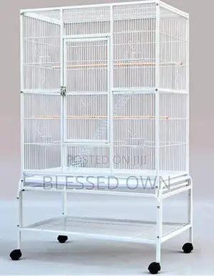 Big Foreign Parrots Cages