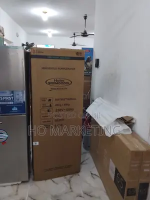 Haier Thermocool 250l Top Freezer – Best for Hot Climate