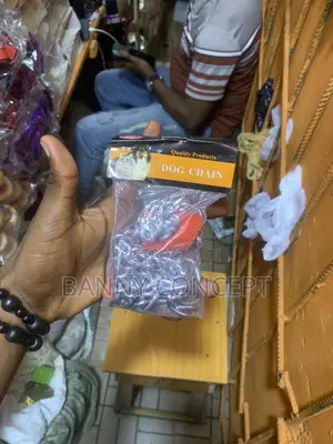 Padded Handle Dog Chain