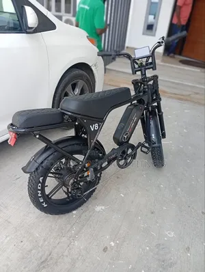 Best Quality Electric Bike