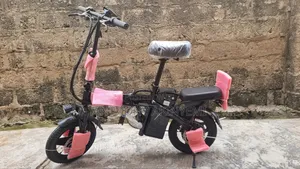 Huimao Electric Bicycle