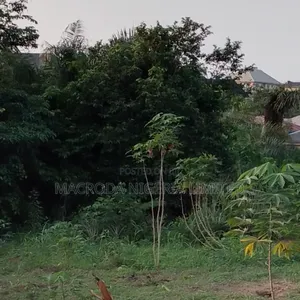 Commercial Land With Warehouse