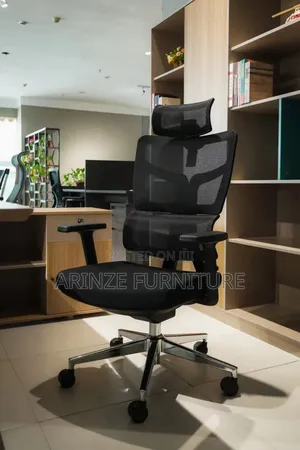 Luxurious Mesh Chair