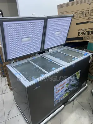 Snowsea Double Door Chest Freezer - Bd-600 - Grey