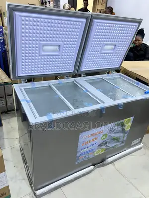 Snowsea 420l Chest Freezer Bd-600g With Low Noise Operation