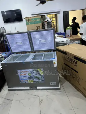 Snowsea Bd-600g 420l Freezer With Stable Voltage Operation