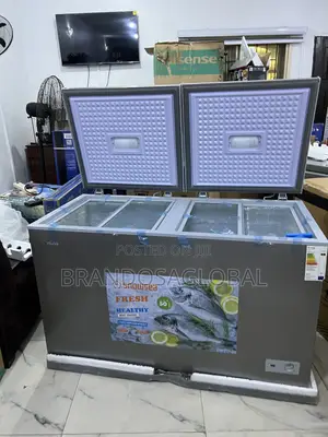 Bd-600g Snowsea 420l Freezer With Anti-Slip Rubber Feet