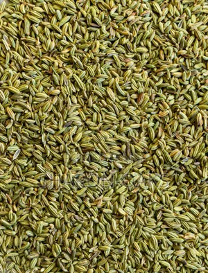 Fennel Seeds 1kg