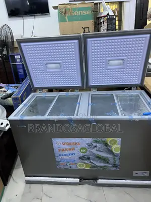 Bd-600g Snowsea 420l Large Capacity Freezer With Even Cold Flow