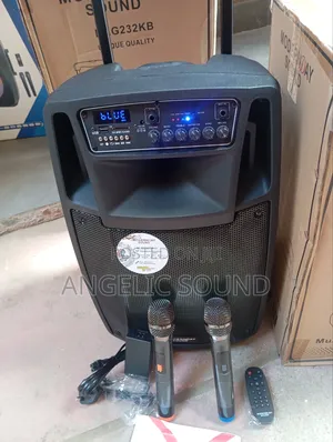 Modernday Public Address System Speaker Model