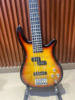 Fender Bass Guitar