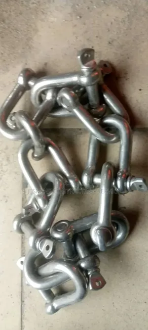 Dee Shackle Stainless Steel Aisi 316 16mm