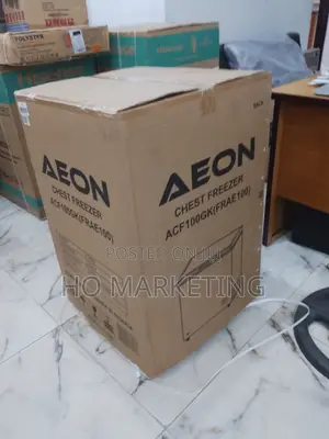 Heavy Duty Aeon 100l Deep Freezer for Commercial Use