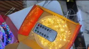 100m Copper Wire Lamp String With Remote