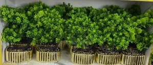Home Decor/Console Decor Flowers