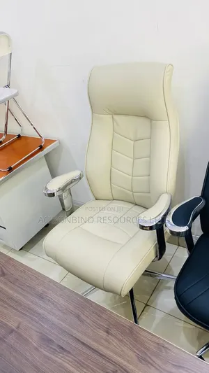 Super Executive Chair for Office
