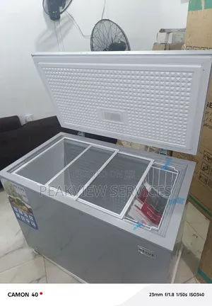 Quality Nexus (Nx-400g) 320l Chest Freezer With Key Lock