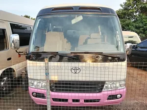 Toyota Coaster 2017 Pink