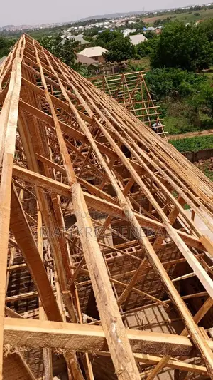 Professional Roof Carpenter Work