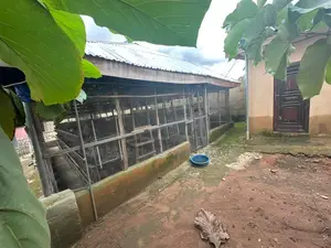 Poultry Farm for Sale