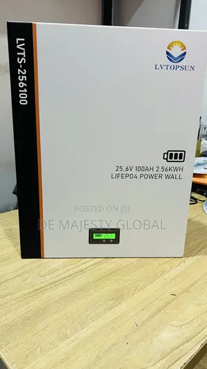2.5kwh 24v Lvtosun Lithium Battery With 5yrs Warranty