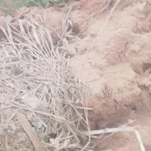 1200ssqm Land Available for Sale at Ikoyi