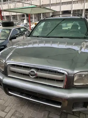 Nissan Pathfinder 2004 Gray