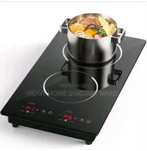 Electric Cooker 2 in-Built Electric Burner