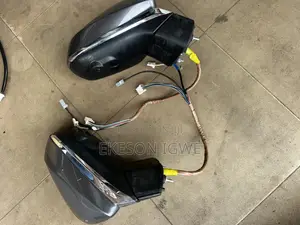 Side Mirror Rx350 2024-025
