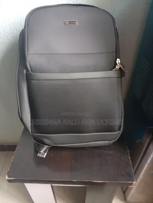 Wiersaam Anti Theft Water Proof 16 Inches Back Pack