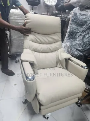 Standard Quality Reclining Office Chair, Fully Electric Body Massager.