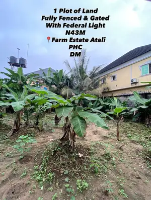 1 Plot of Land Fully Fenced Gated With Constant Electricity Secure
