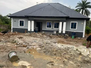 Proffesional House Paintings.